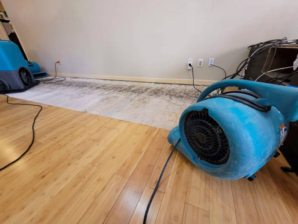 Professional Water Damage Repair technician working in Pulaski, VA